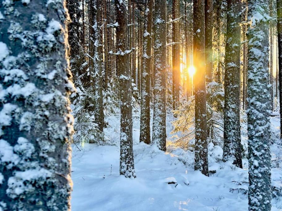 하그포스 Langroesta; Ruime Blokhut Grenzend Aan Bos 빌라 외부 사진